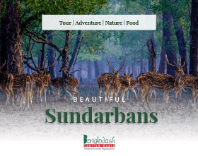 Sundarbans